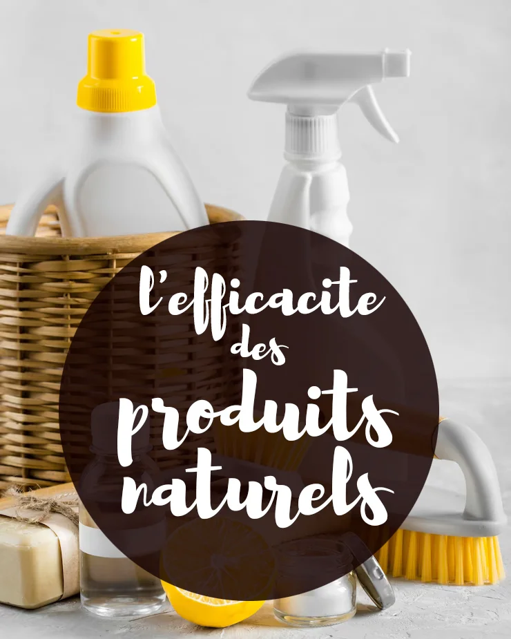 Les produits naturels sont-ils réellement efficaces pour nettoyer son frigo ?